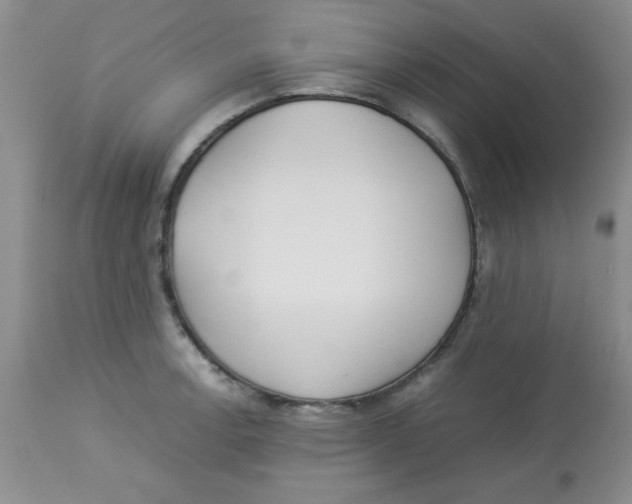 X0000112871138200909181818