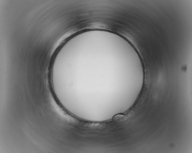 X0000112871139200909181818