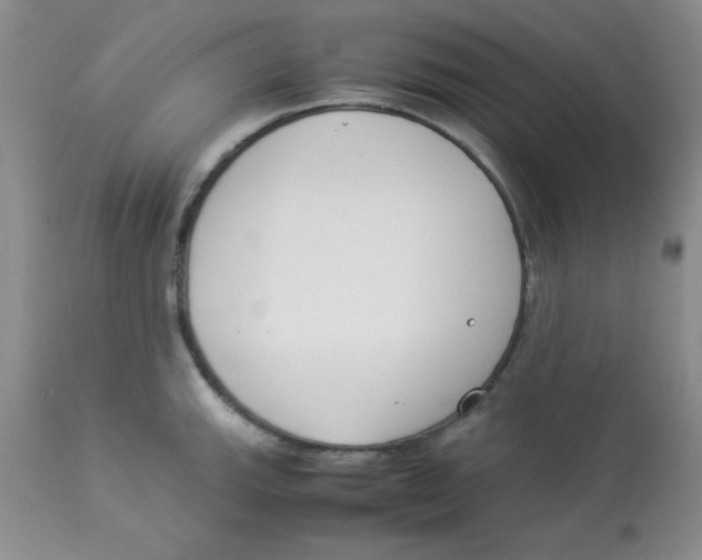 X0000112871143200909181818