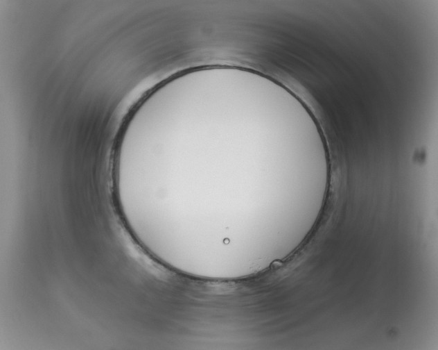 X0000112871144200909181818