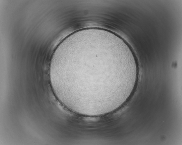 X0000112871145200909181818