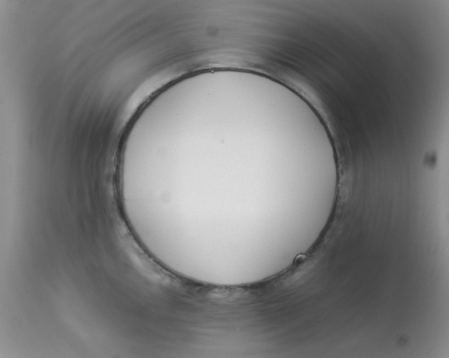 X0000112871146200909181819