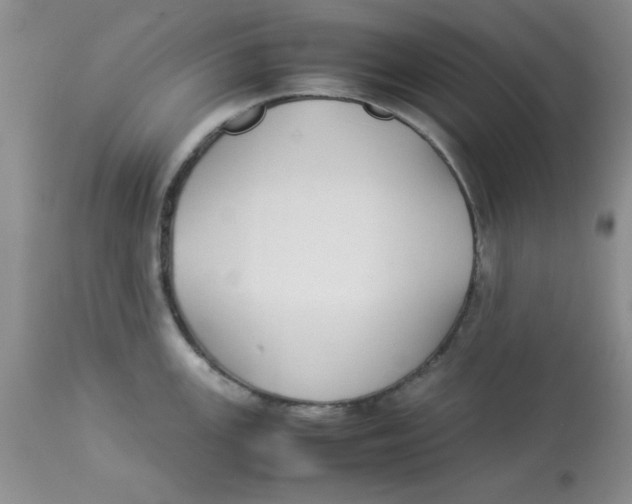 X0000112871147200909181819