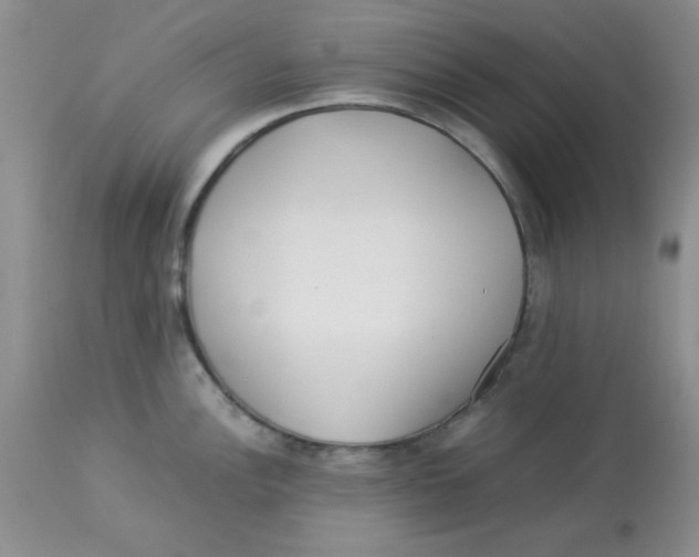 X0000112871148200909181819