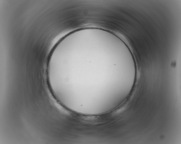 X0000112871149200909181819