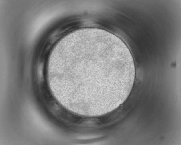 X0000112871150200909181819