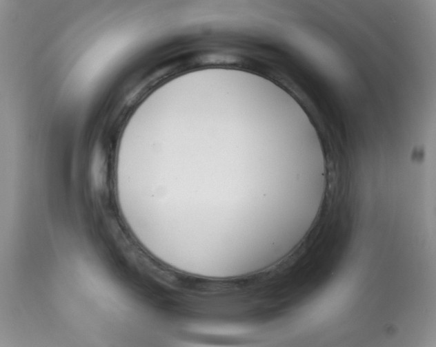 X0000112871151200909181819