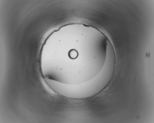 X0000112871152200909181819