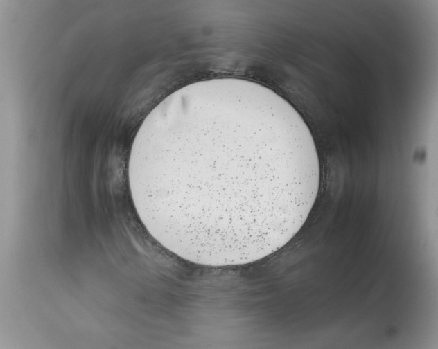 X0000112871154200909181818