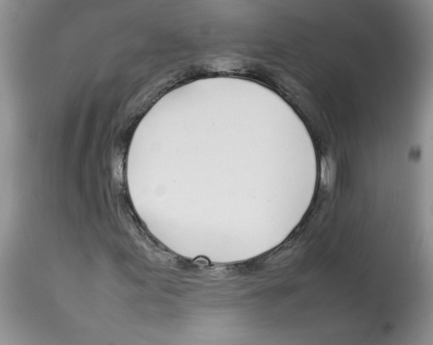 X0000112871155200909181818