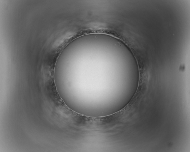 X0000112871157200909181818