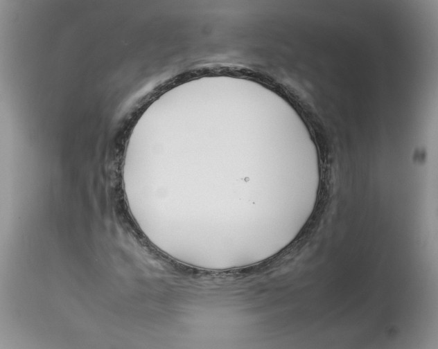 X0000112871159200909181817