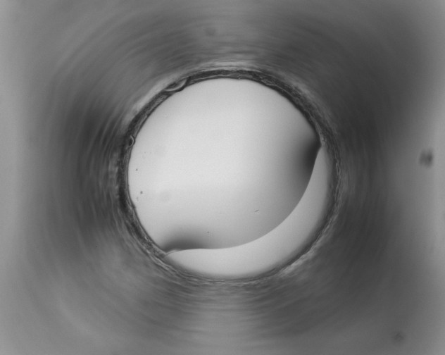 X0000112871162200909181817