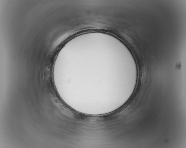 X0000112871163200909181817