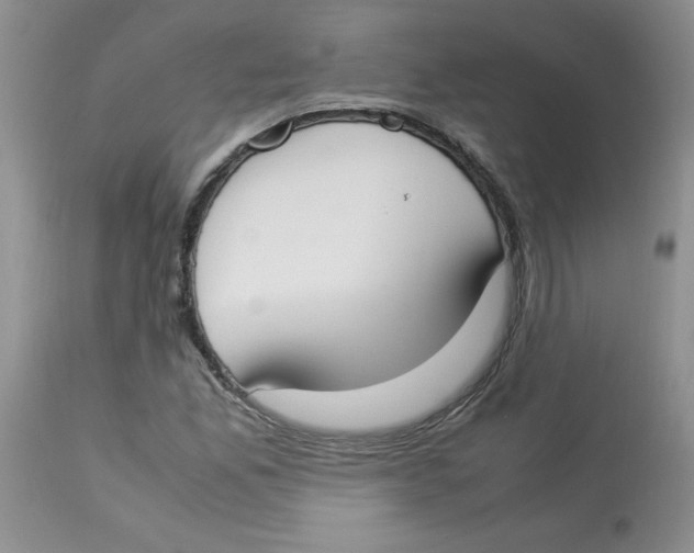 X0000112871165200909181817