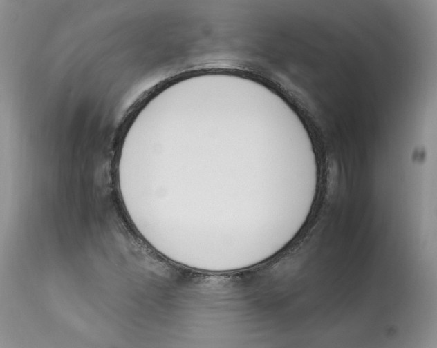 X0000112871166200909181817