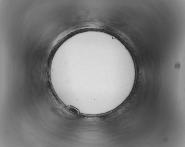 X0000112871168200909181817