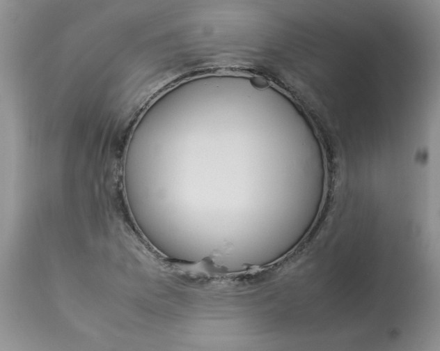 X0000112871169200909181817