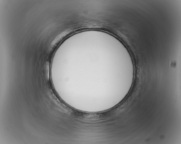 X0000112871171200909181817