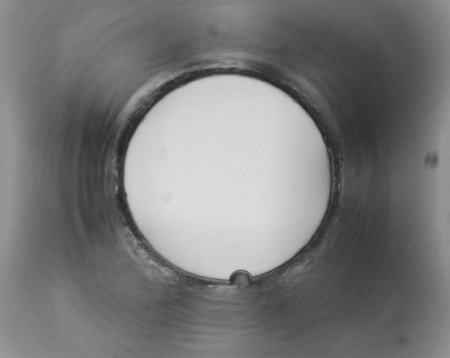 X0000112871172200909181817