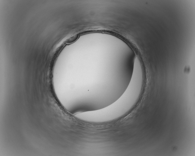 X0000112871173200909181817