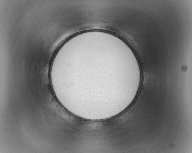 X0000112871174200909181817