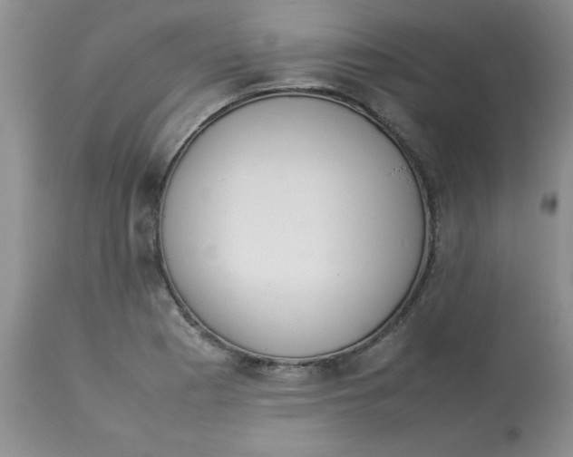 X0000112871177200909181817