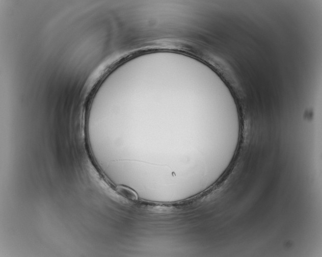 X0000112871180200909181817