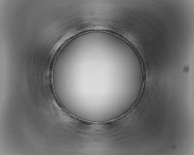 X0000112871181200909181817