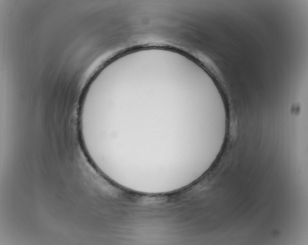 X0000112871183200909181817