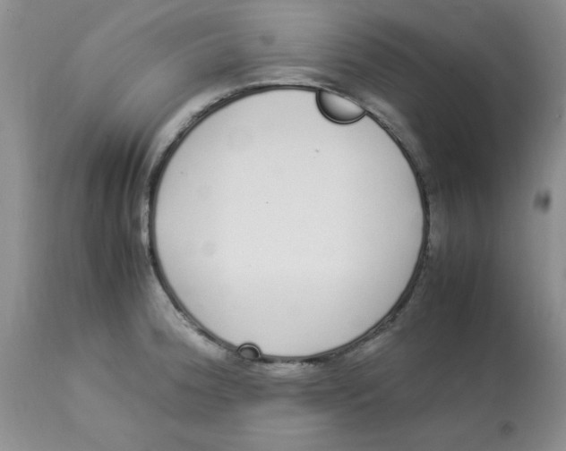 X0000112871188200909181817