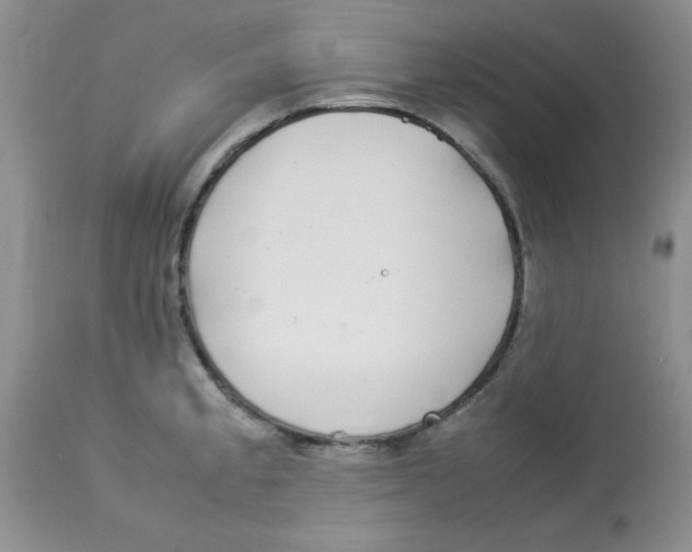 X0000112871189200909181817