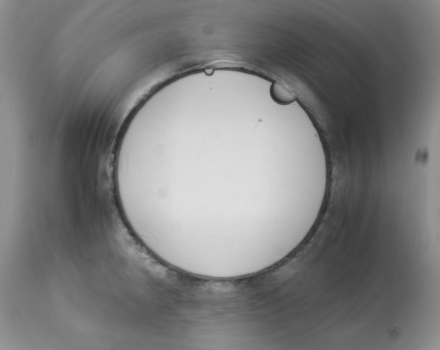 X0000112871190200909181817