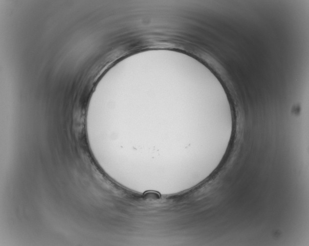 X0000112871193200909181817