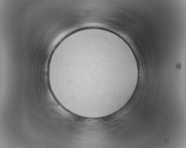 X0000112871199200909181817