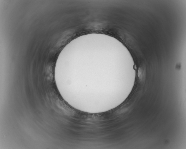 X0000112871203200909181816