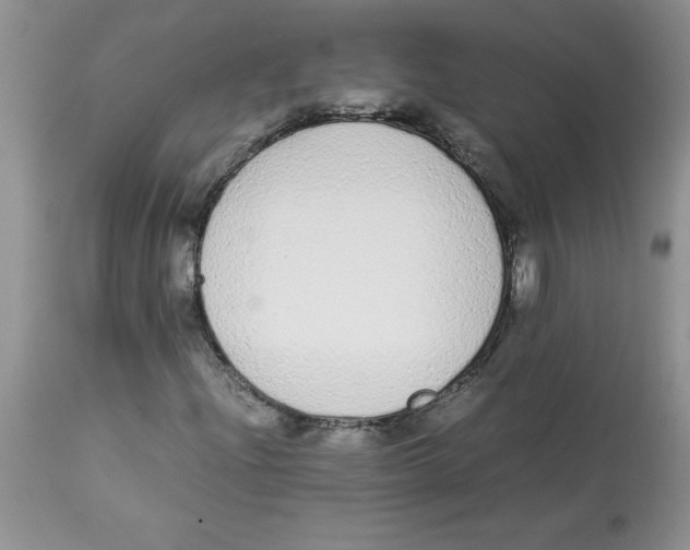 X0000112871204200909181816