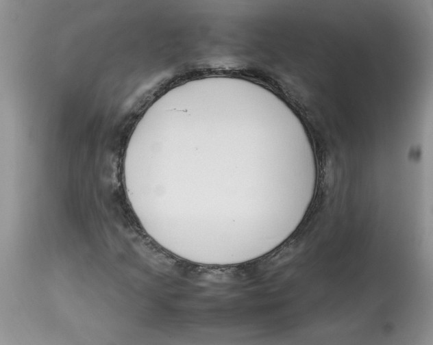 X0000112871205200909181816