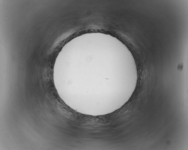 X0000112871207200909181816