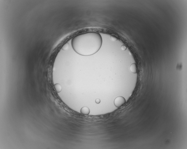 X0000112871208200909181816