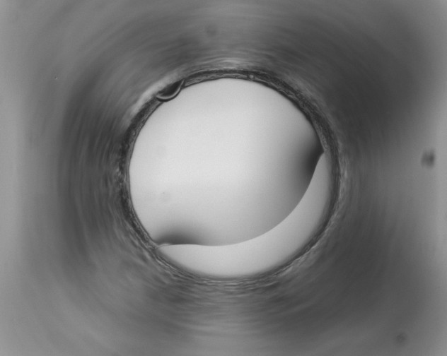 X0000112871210200909181816