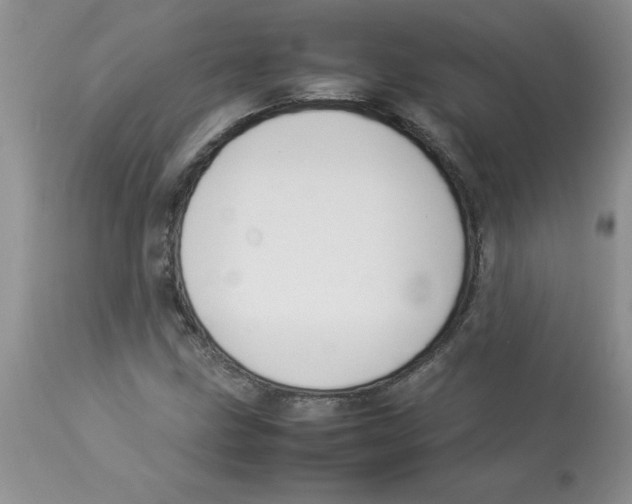 X0000112871211200909181816