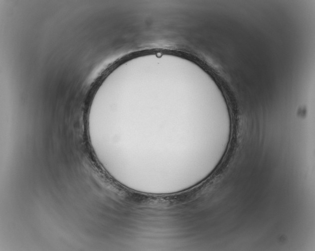 X0000112871214200909181816