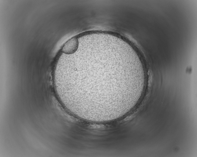 X0000112871215200909181816