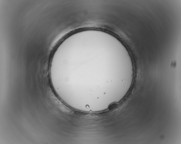 X0000112871216200909181816