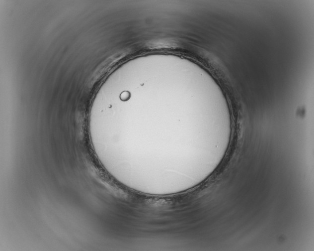 X0000112871217200909181816