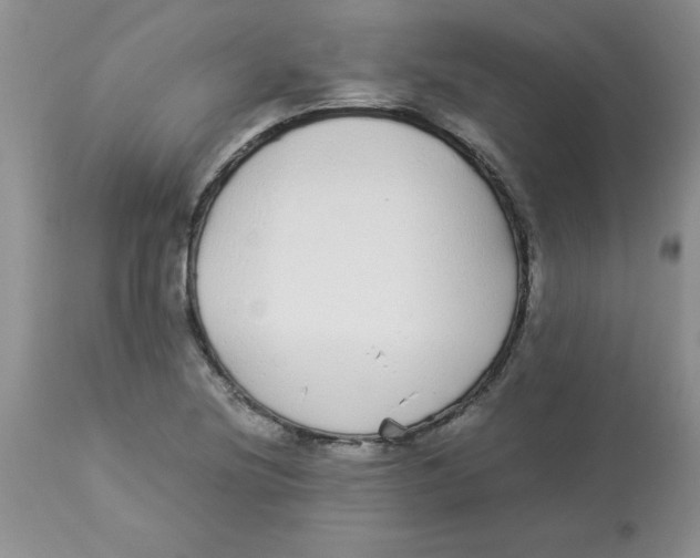 X0000112871220200909181816