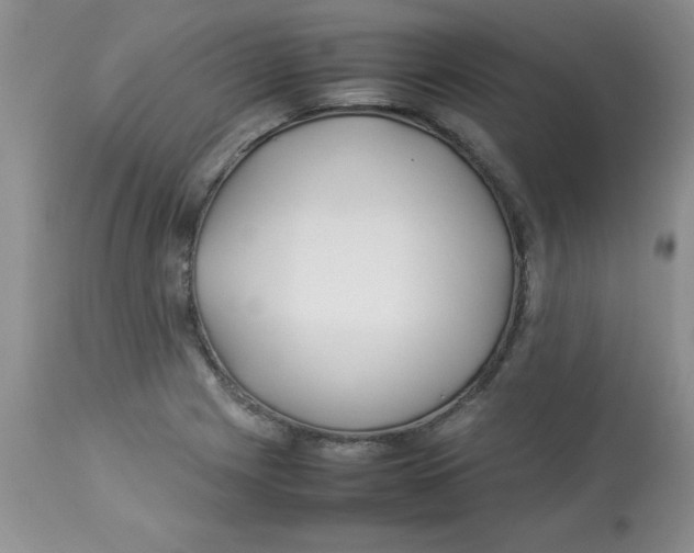 X0000112871225200909181816