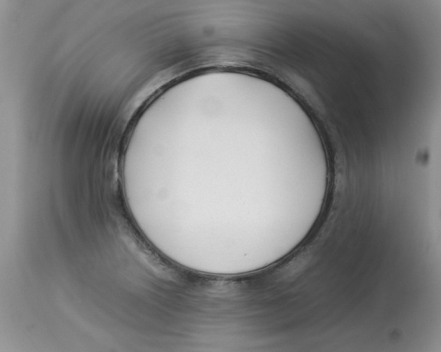 X0000112871226200909181816