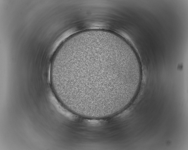 X0000112871227200909181816